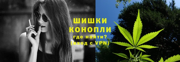 мдпв Гусь-Хрустальный