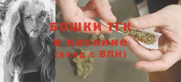 гашик Вяземский