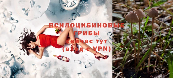 гашик Вяземский