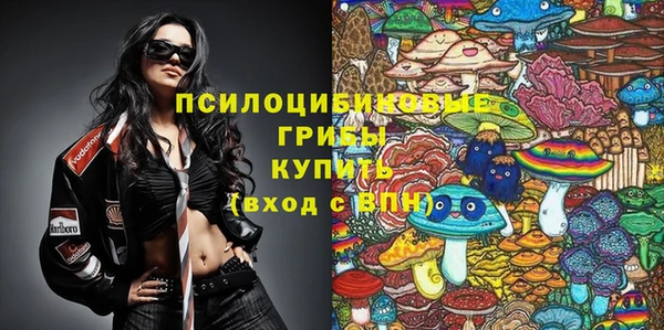 МДМА Гусев