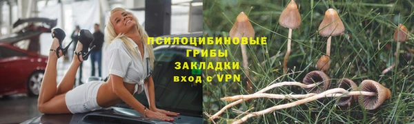 эйфоретик Горнозаводск